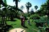 Adora Golf Resort 